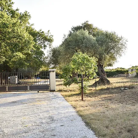 Casa de Férias Hundefreundliches Nur 500 Meter Zum Mit Meerblick Und Tollem Privatgarten